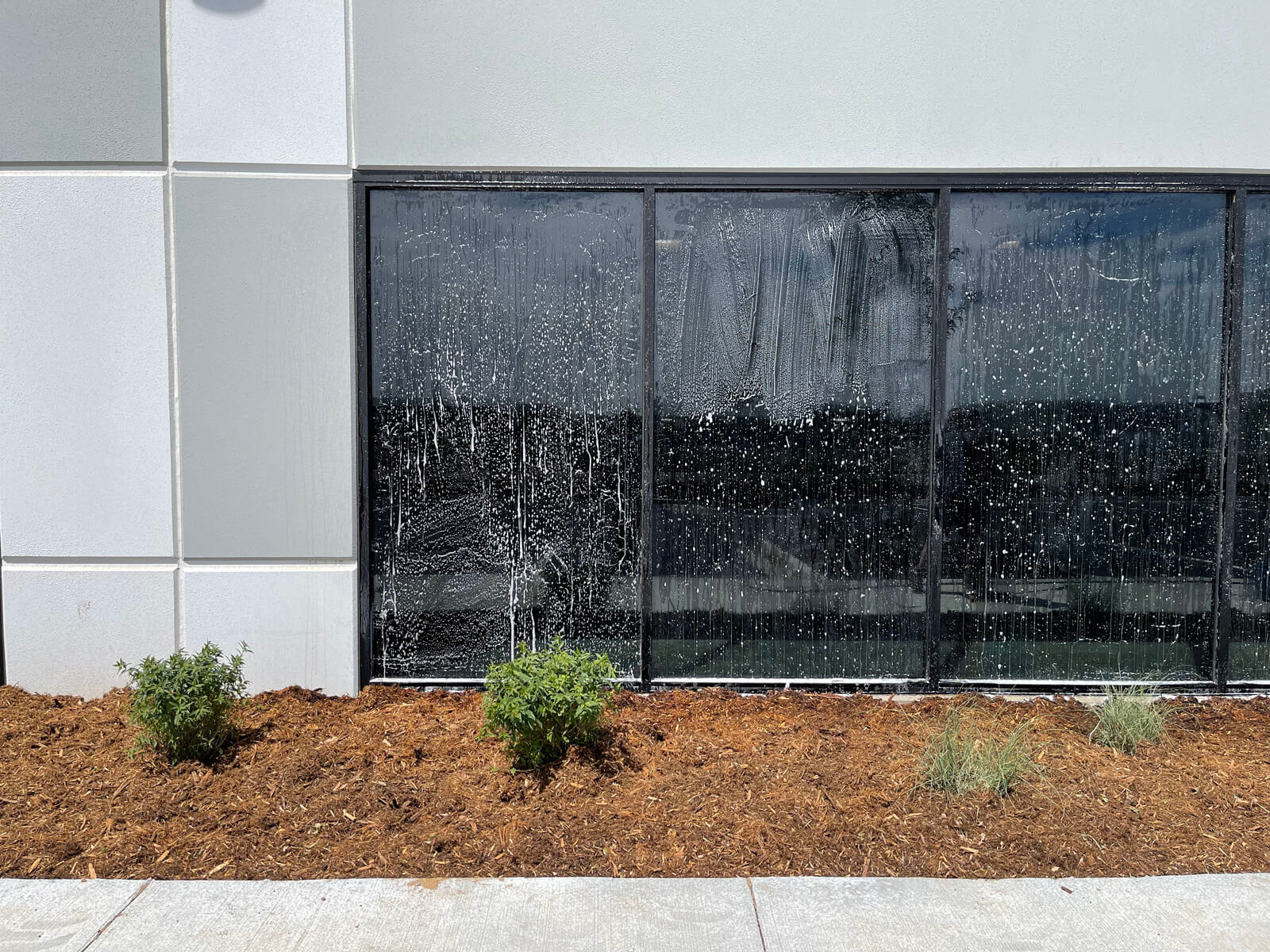 Commercial Window Cleaning